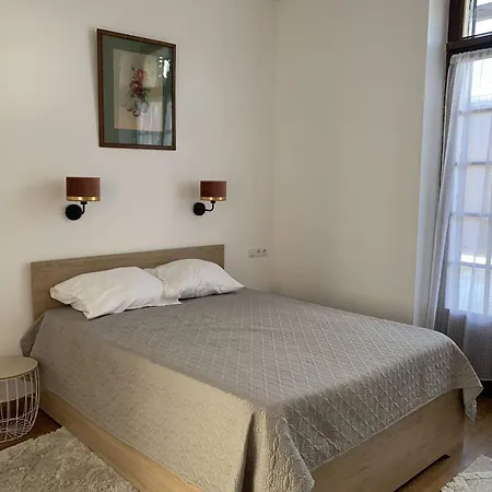 Location Conviviale A Avec Parking Et Terrasse Privee - Fr-1-870-19 Apartment Reims