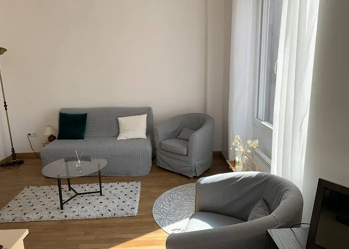 Lägenhet Location Conviviale A Avec Parking Et Terrasse Privee - Fr-1-870-19 Reims